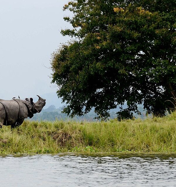 Tour Operator Shillong